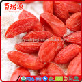 Goji berries dried nutrition facts health benefits